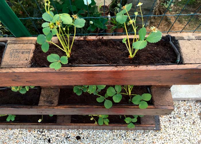 Cómo hacer un huerto urbano con pallets en el jardín