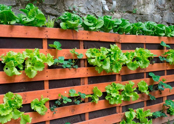 Cómo hacer un huerto urbano con pallets en el jardín