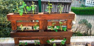 Cómo hacer un huerto urbano con pallets en el jardín
